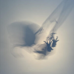 Larry Muñoz Graceful Elegant Beasts sergisi