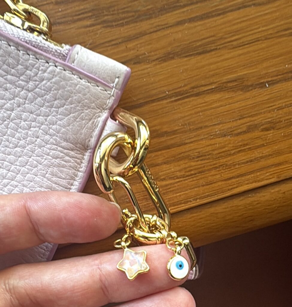ecco clutch